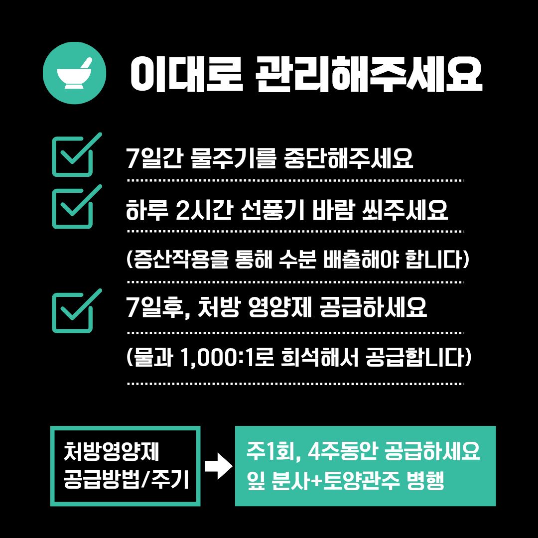 튼튼잘자라 안내 4