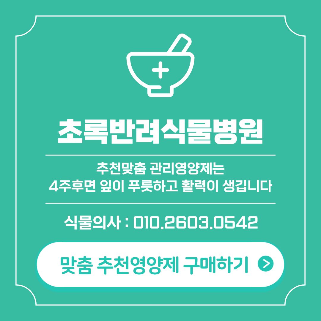 튼튼잘자라 안내 6