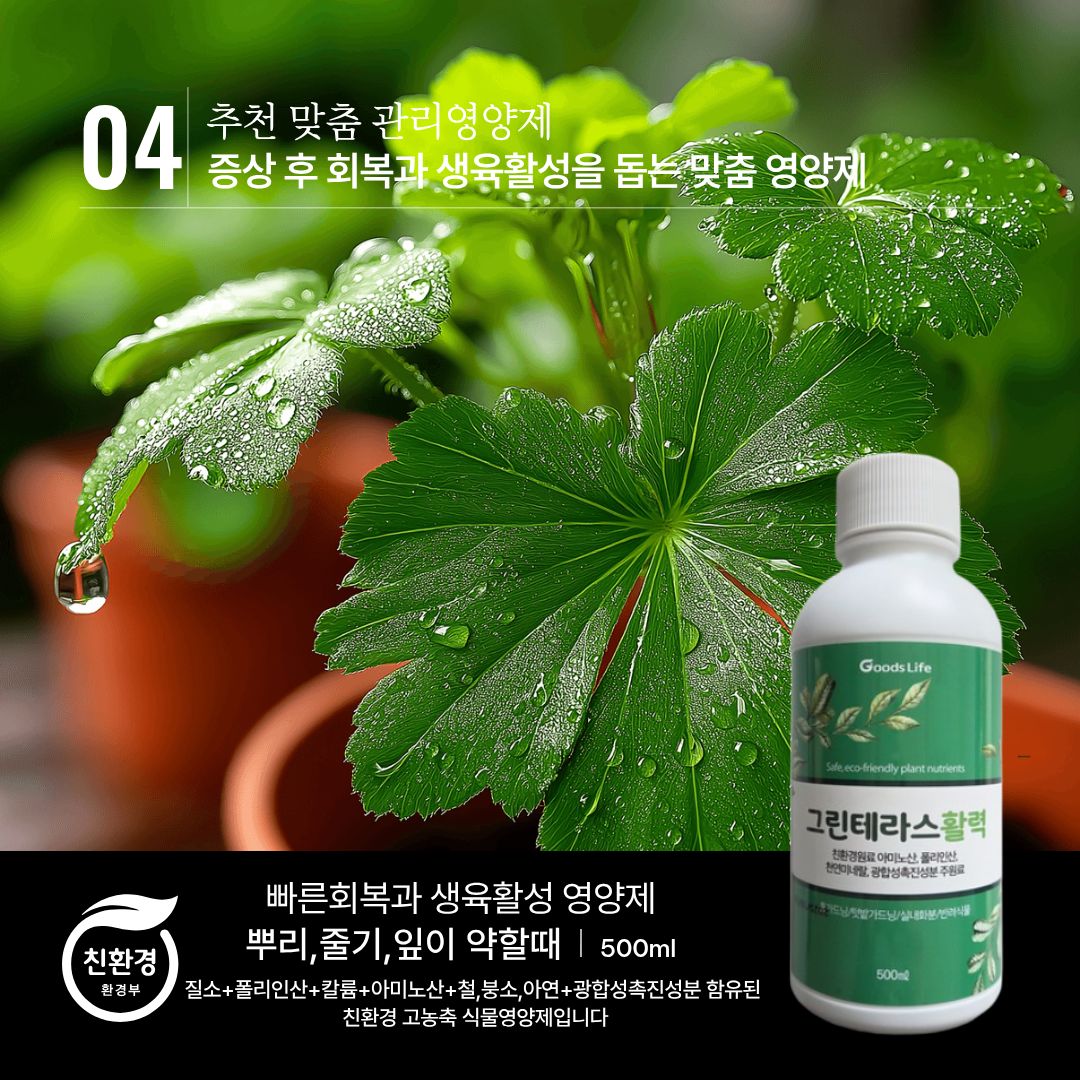 그린테라스 활력 안내 3